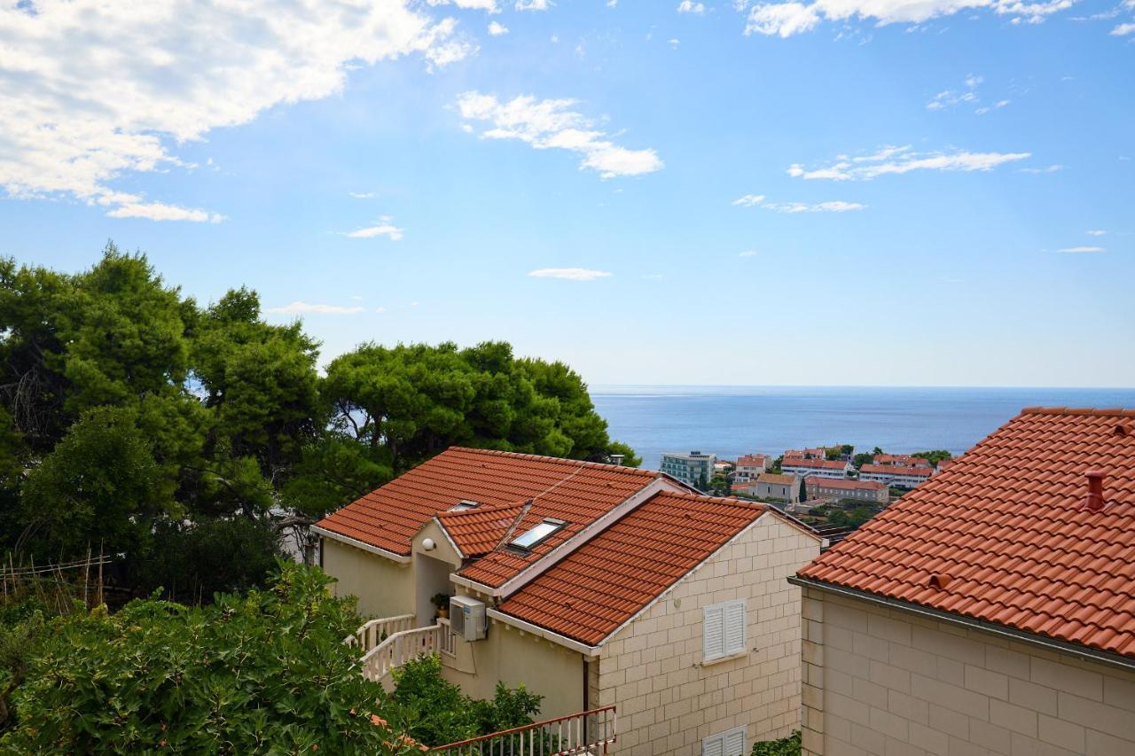 Hedera Estate Hedera Studio 1 Dubrovnik Buitenkant foto
